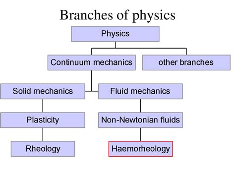 Haemodynamics Haemorheology - online presentation