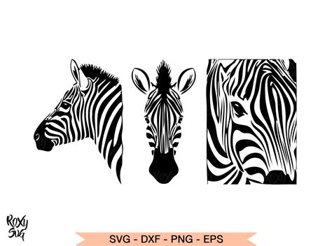 Zebra Vector Png