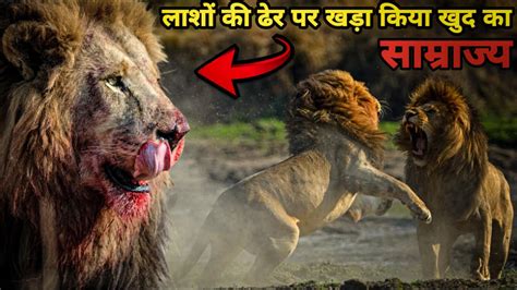 कहानी Majingilane Lions के खूंखार बेटे Three Tooth Lion की । Facts ...