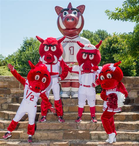 Spirit Squads | Arkansas Razorbacks