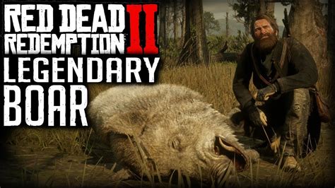 Red Dead Redemption 2 legendary boar tusk talisman location/ hunting - YouTube