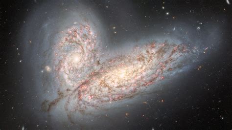 Andromeda Galaxy Has Been Feeding On Its Neighbouring Galaxies ...