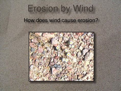 PPT - Erosion and Deposition by Wind PowerPoint Presentation, free ...