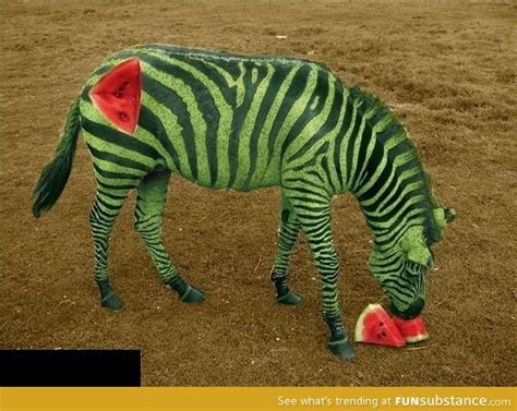 Wtf internet - FunSubstance | Photoshopped animals, Animal mashups ...