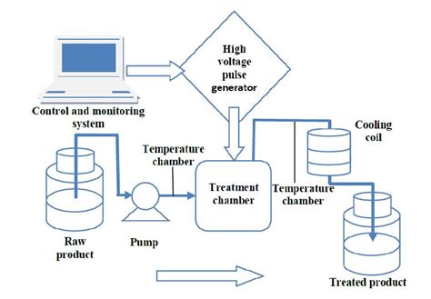 Pulsed Electric Fields for Food Processing Technology | IntechOpen