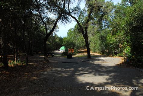 Henry Cowell Redwoods State Park - Campsite Photos & Reservations