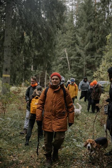 People Hiking in a Forest · Free Stock Photo