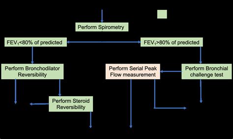 Flowchart of the diagnosis of asthma and the use of spirometry. | Download Scientific Diagram