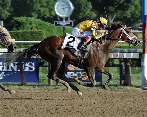 At the Races - 2015 - BloodHorse Photo Store | Horses, Racing, Horse photos