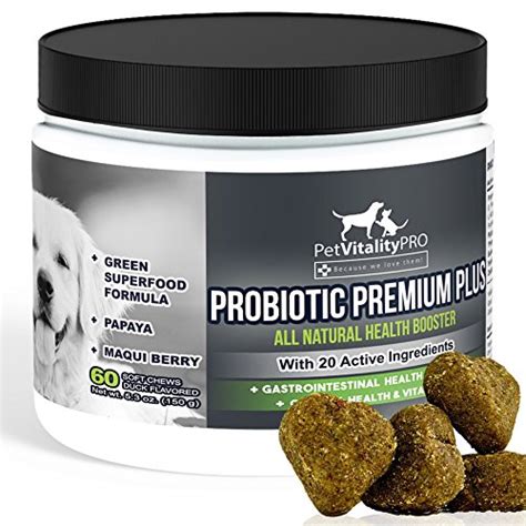 Top 5 Best Digestive Enzymes for Dogs Digestion Problems (2017)