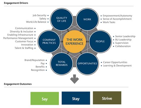 Model of Employee Engagement | Human Resources and Team Development ...