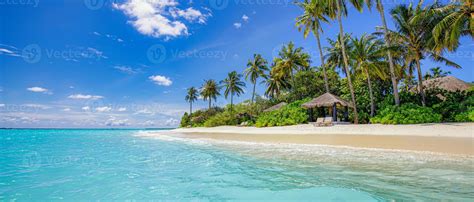 playa de la isla paraíso. paisaje tropical de paisajes de verano, palmeras de cielo de arena de ...