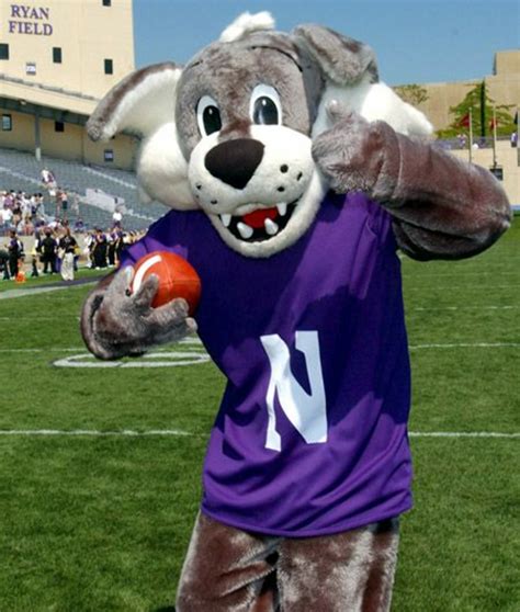 Download High Quality northwestern university logo mascot Transparent ...