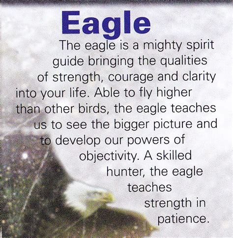 Eagle spiritual guide | Animal spirit guides, Animal totem spirit ...