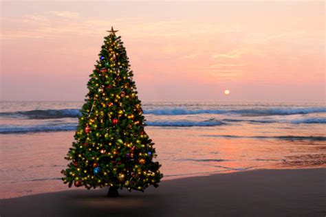 29,300+ Beach Christmas Stock Photos, Pictures & Royalty-Free Images - iStock