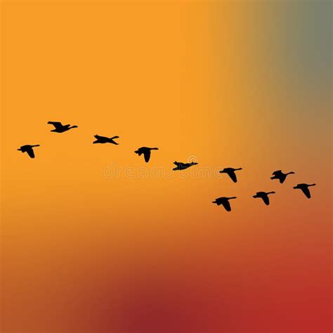 Silhouette of a Flock of Birds or Geese Flying Vector Stock Vector - Illustration of silhouette ...