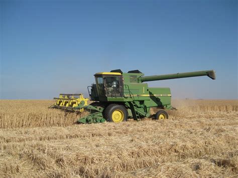 A Conventional Farm Transitions to Organic.: Harvesting soft white winter wheat