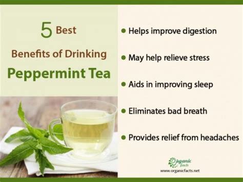 9 Health Benefits of Peppermint Tea for Sleep & Weight | Organic Facts