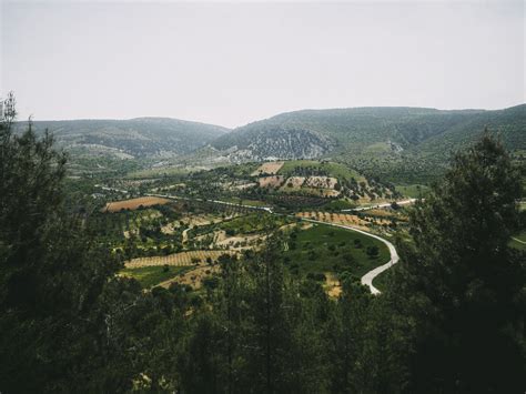 Aerial View of Houses · Free Stock Photo