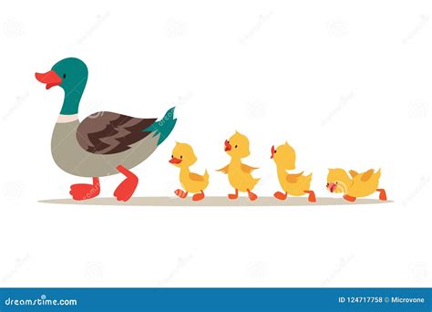 Mother Duck and Ducklings. Cute Baby Ducks Walking in Row Stock Vector ...