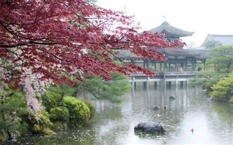 Brown wooden pagoda, cherry blossom, river, park, Japan HD wallpaper ...