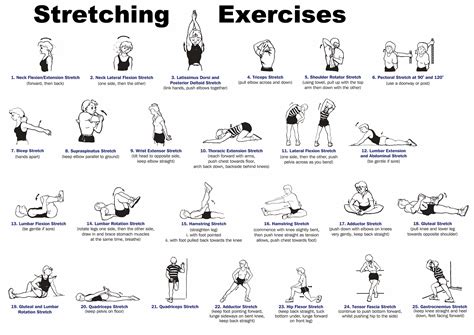 Daily Stretching Exercises | RECOIL OFFGRID