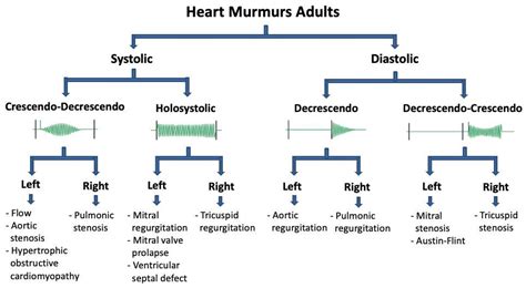 Murmur Classification