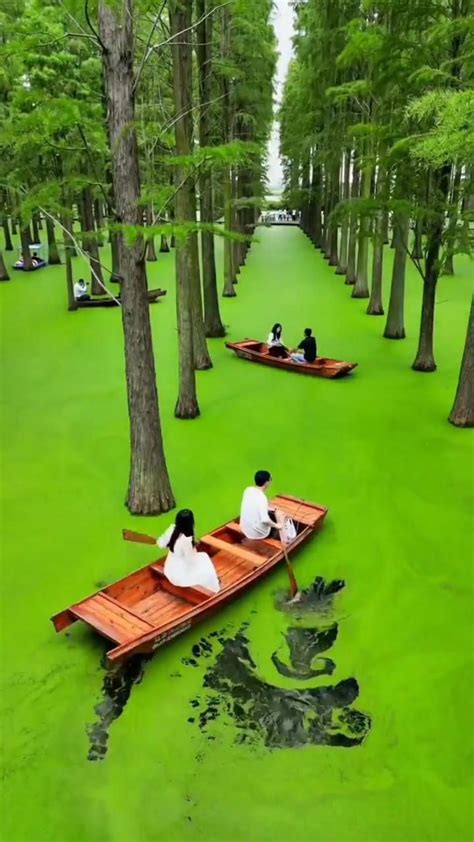 Haoyang Lake Wetland Park, Yangzhou, China | Viaggio avventuroso, Posti in cui andare ...