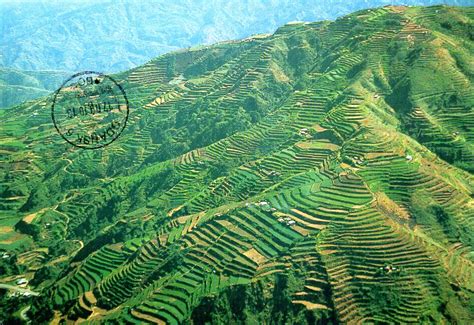 Each postcard has its own history: Aerial View of Banaue, Rice terraces, Ifugao Province