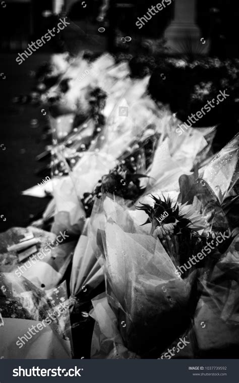 Memorial Flowers Black White Funeral Flowers Stock Photo 1037739592 | Shutterstock