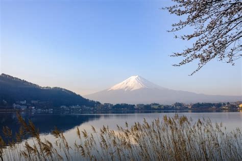 Premium Photo | Mount fuji landscape, japan