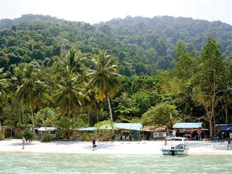 Penang National Park | Attractions in Teluk Bahang, Penang