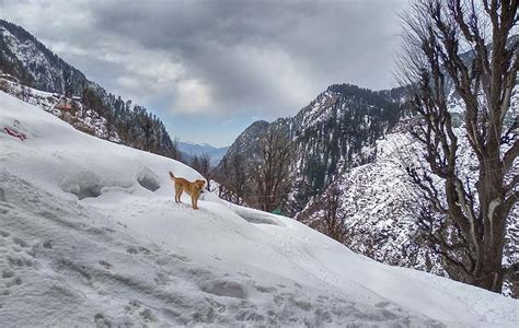 Kasol - A COMPLETE Travel Guide and Itinerary - Vargis Khan