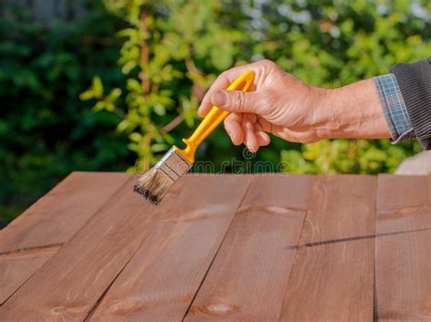 Brushing Wood with Brush. Painting and Wood Maintenance Oil-wax. Stock ...