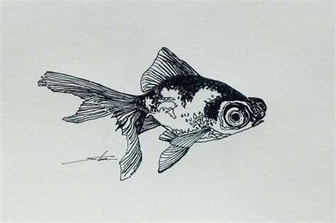 Thursday File Drawings — Theme: Goldfish - pen & ink drawing; sketch ...