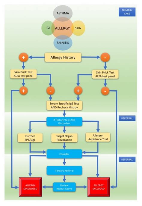 Allergy Diagnosis | T-Medi