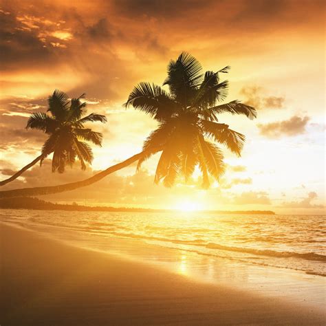 🔥 [40+] Caribbean Sunset Wallpapers Desktop | WallpaperSafari