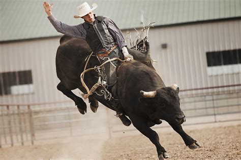 Bull Riding Backgrounds Free Download | PixelsTalk.Net