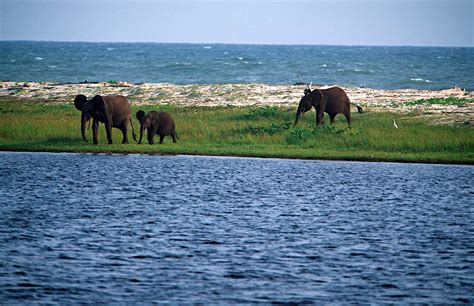 Loango National Park travel | Gabon, Africa - Lonely Planet