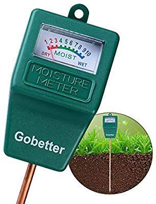 Best Moisture Meter For Plants