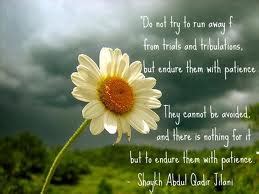 Sayings of Sheikh Abdul Qadir Jilani Rahmatullahi Alayh – Jamiatul ...