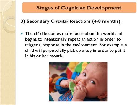 QIM 501 Instructional Design and Delivery Cognitivism Theory