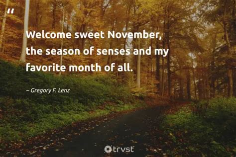 43 November Quotes and Sayings to Start the Holiday Season