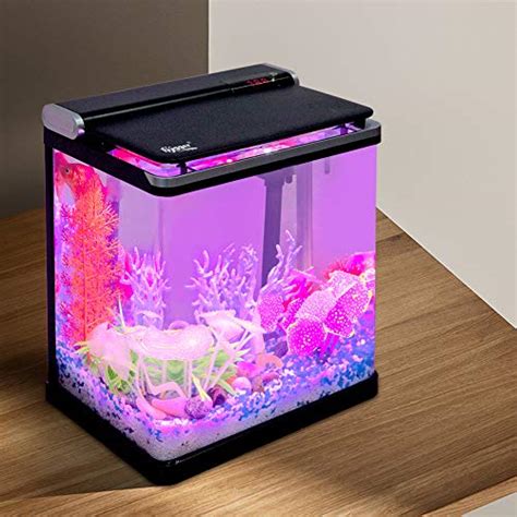 Best Fish Tank for Goldfish in 2021 Reviews with Comparisons - Marine Life Tank