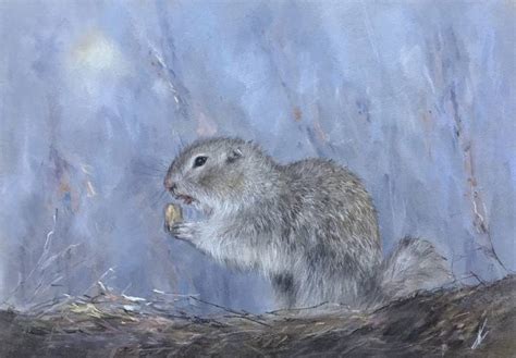 Marmota Drawing by Pastel art | Saatchi Art