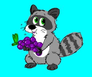 raccoon eating grapes - Drawception