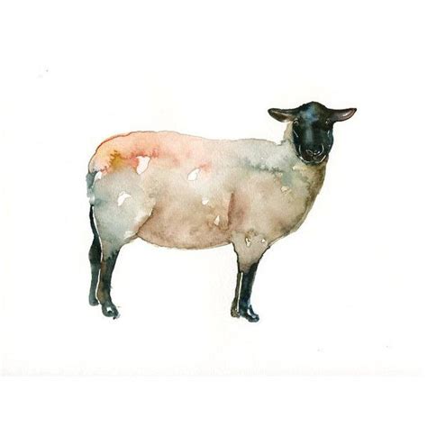 SHEEP Original watercolor painting 10x8inch ($30) liked on Polyvore featuring home, home decor ...