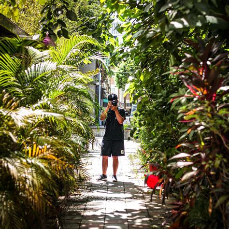 Gardens in Auckland | Best Places to Go | What to Do