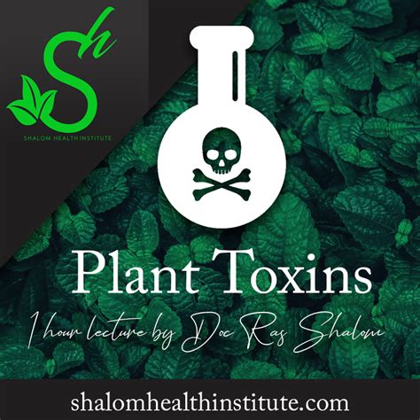 Plant Toxins – Shalom Health Institute