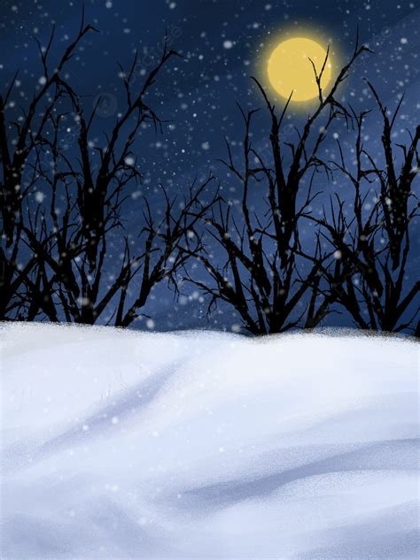 Christmas Snow Day Winter Night Starry Sky Forest Snow Scene Background ...